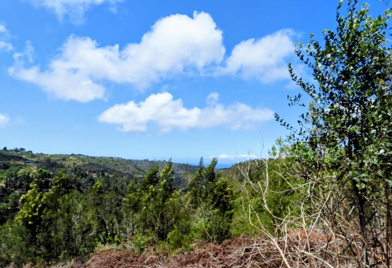 0 Bedroom Property for Sale in Hoekwil Western Cape